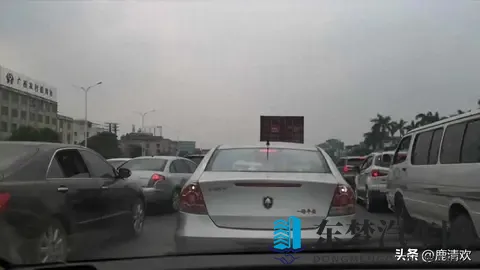 十大黄片软件：盘点热门非法影视下载平台-3