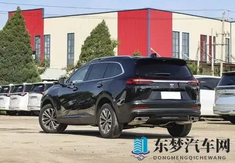 紧急大通知狼友最新地域网名：紧急更新：狼友地区网名大全速览