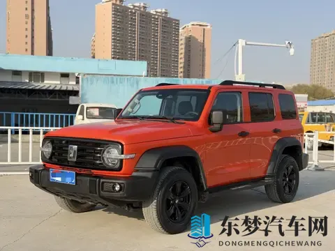 12万拿下21年坦克300，硬汉越野梦轻松圆！-1