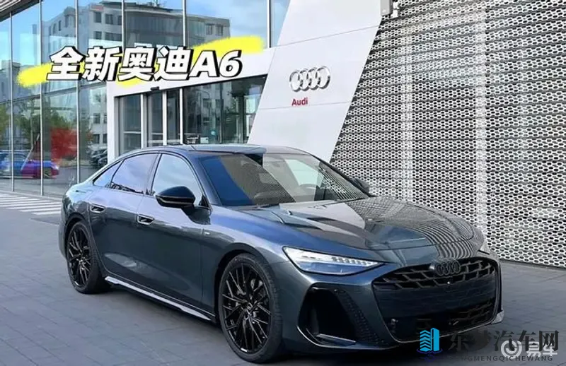 中国老太体内 精ggggg:老太体内神秘物质,汽车领域新突破!-1