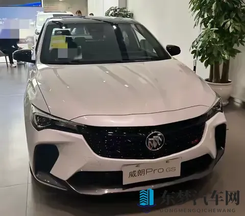 威朗Pro半年用车实录：10万级合资家用车，亮点与遗憾都很真实！