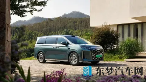 仙踪林company limited：神秘仙踪，林间企业有限公司