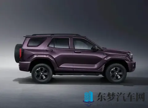 3种动力可选，智能化升级，2498万元起 新款坦克400上市-3