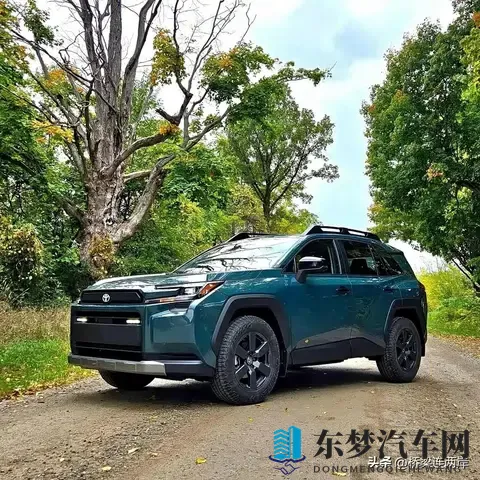 丰田RAV4越野版海外发布，混动加持能否撼动市场？-2