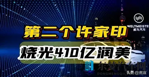 沈晖跑路，威马烂尾，资本认栽-2