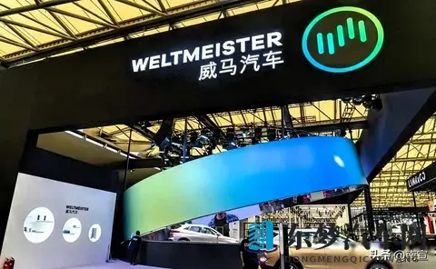 沈晖跑路，威马烂尾，资本认栽-1