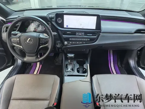 22年雷克萨斯ES，2万公里当新车开，这价格香不香？-2