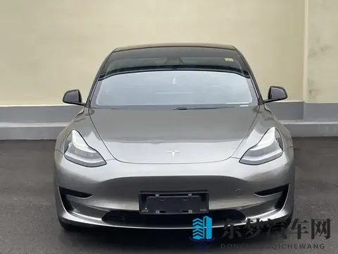 10万多拿下20年特斯拉Model3，圆你绿色出行梦-3