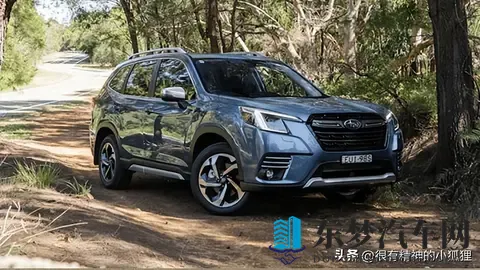 来看看澳大利亚最受欢迎的汽车-3