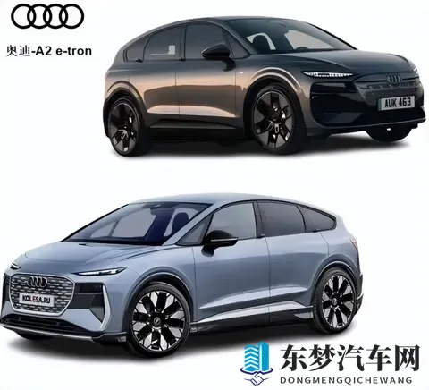 奴役 支配 极端 捆绑：束缚与极权，压迫与操控-2