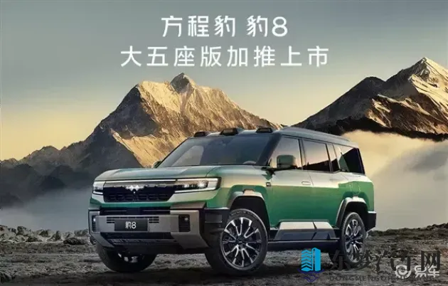 中国少妇毛茸茸：独特汽车梦：创新设计引领绿色出行潮流-1