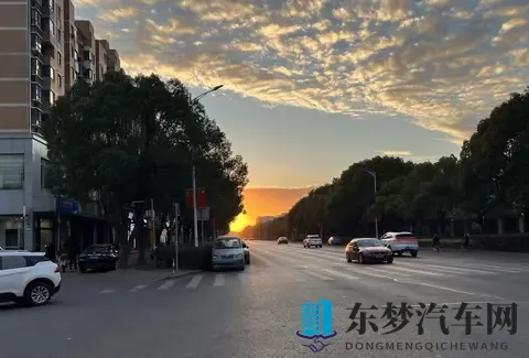 纠结半年,我最终放弃买新能源车!租房的打工人,真心劝你三思-1