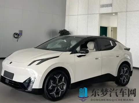 银色车身配大轮毂 领克Z20要出新版型了？-2