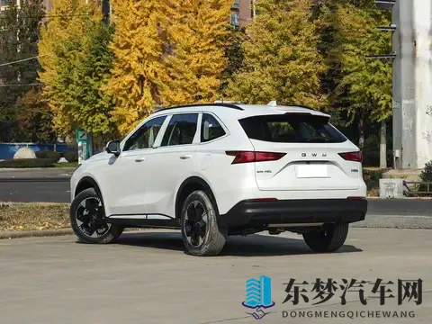 10万级燃油王者！长轴版哈弗H6即将上市，定位中型SUV，搭载20T