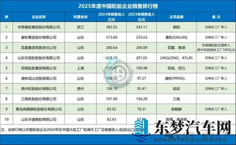 山东全省轮胎行业全景-3