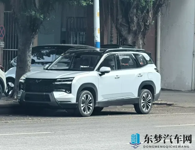 热热Av：激情四溢，热辣AV盛宴-1