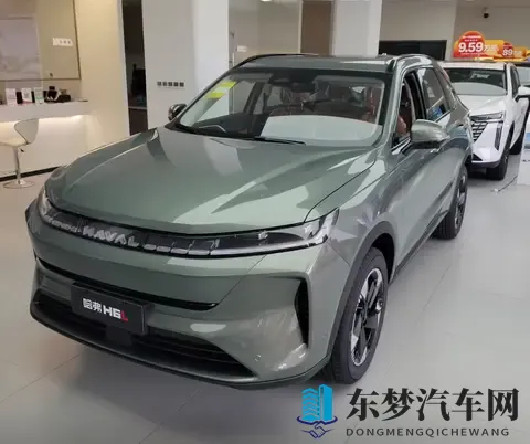 定位中型SUV，哈弗H6L将于11月18日上市，提供15T_20T动力-2