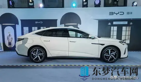 金智妍：新能源汽车领航者：揭秘绿色出行新趋势-2