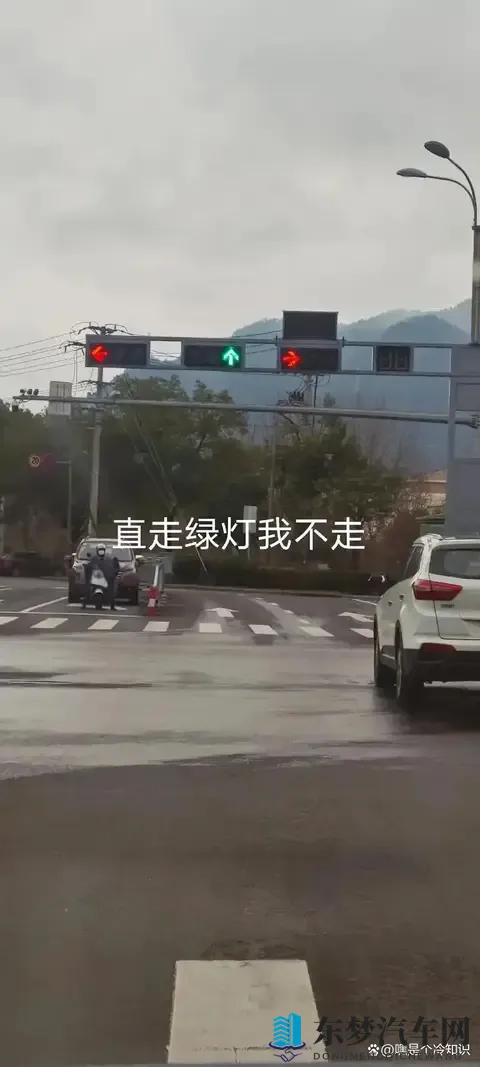 绿灯不走也违章？交警确认：最高记6分，不少司机已中招！-1