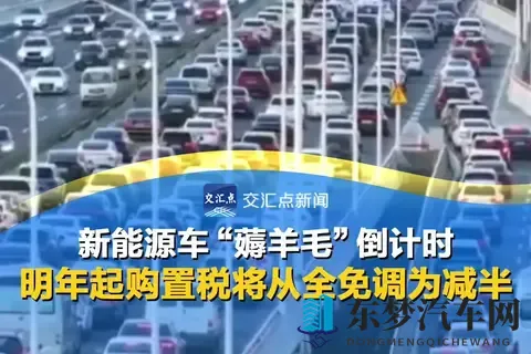 新能源车“薅羊毛”倒计时：明年起购置税将从全免调为减半-1