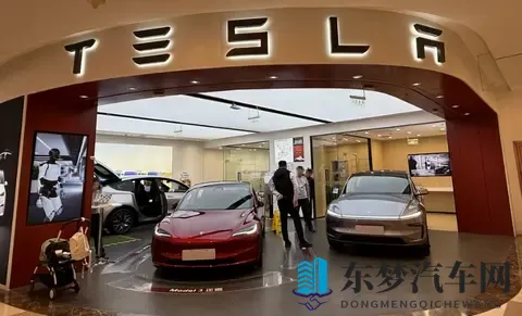 被特斯拉Model Y长续航点燃的车市：上市首天卖出上海工厂三周产能-2