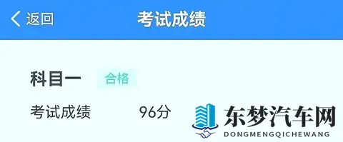 科目一的秘密，为什么你越练错得越多？