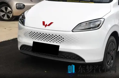 整成了“帅小伙”的模样，五菱神车还有人爱吗？或许价格仍是秘籍-1