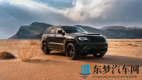 冠军的心，堵在早高峰：大马力时代的荒诞现实-2