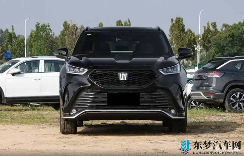 草莓视频成人网站  免费：新能源汽车崛起，绿色出行新潮流