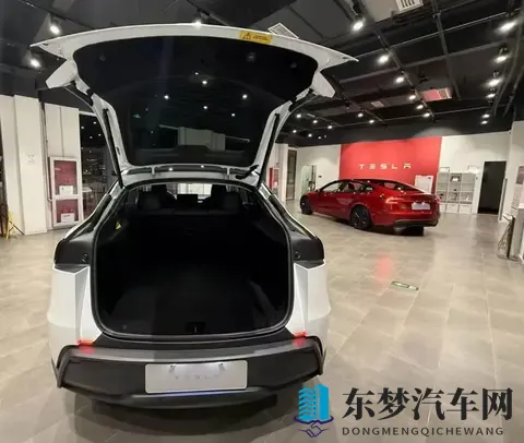 被特斯拉Model Y长续航点燃的车市：上市首天卖出上海工厂三周产能-1