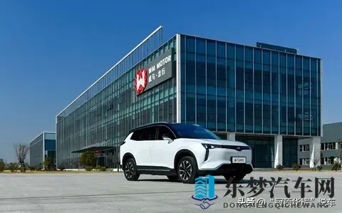 沈晖跑路，威马垮台，技术梦碎-2