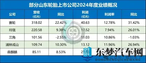 山东全省轮胎行业全景-1