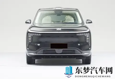 国产又一大6座SUV上市，车长5279mm，2+2+2座椅，纯电续航402km-2