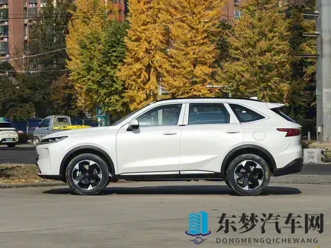 10万级燃油王者！长轴版哈弗H6即将上市，定位中型SUV，搭载20T-2
