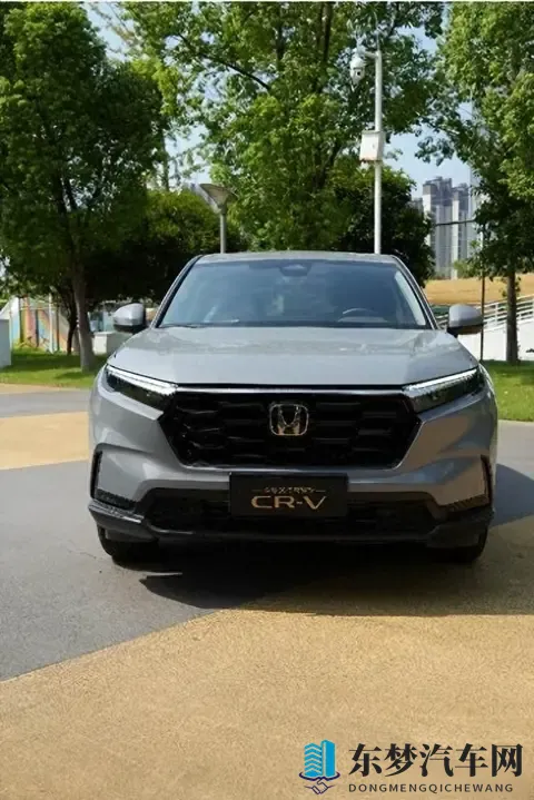 一级爱：顶级情感，真挚无价-2