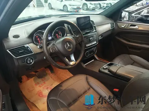 18万多拿下二手奔驰GLE，17万公里，豪华SUV依旧霸气！-2