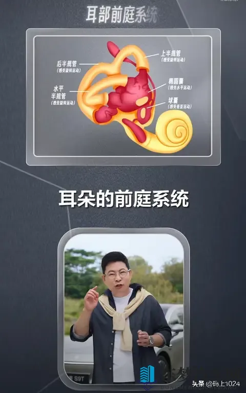 余承东揭秘晕车根源：不是体质弱，而是大脑的误判保护
