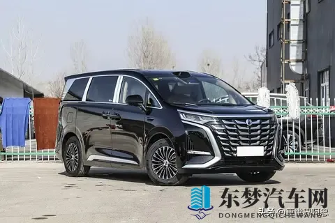 MPV别乱买！1-10零售量排名：腾势D9夺冠，别克GL8第5，夏第14-2